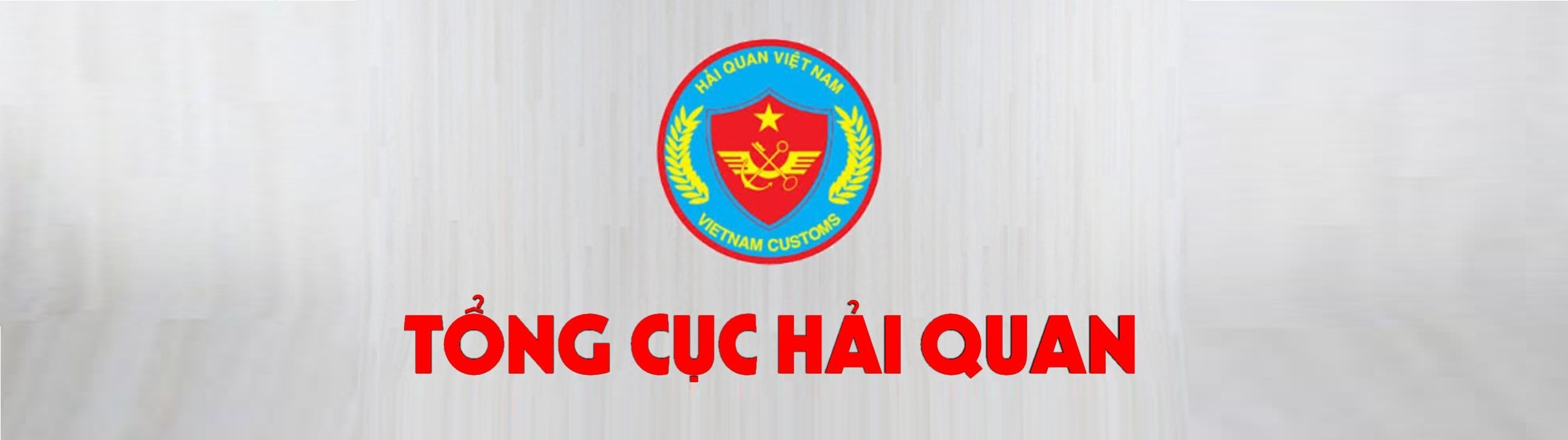 BST ôn thi Hải Quan