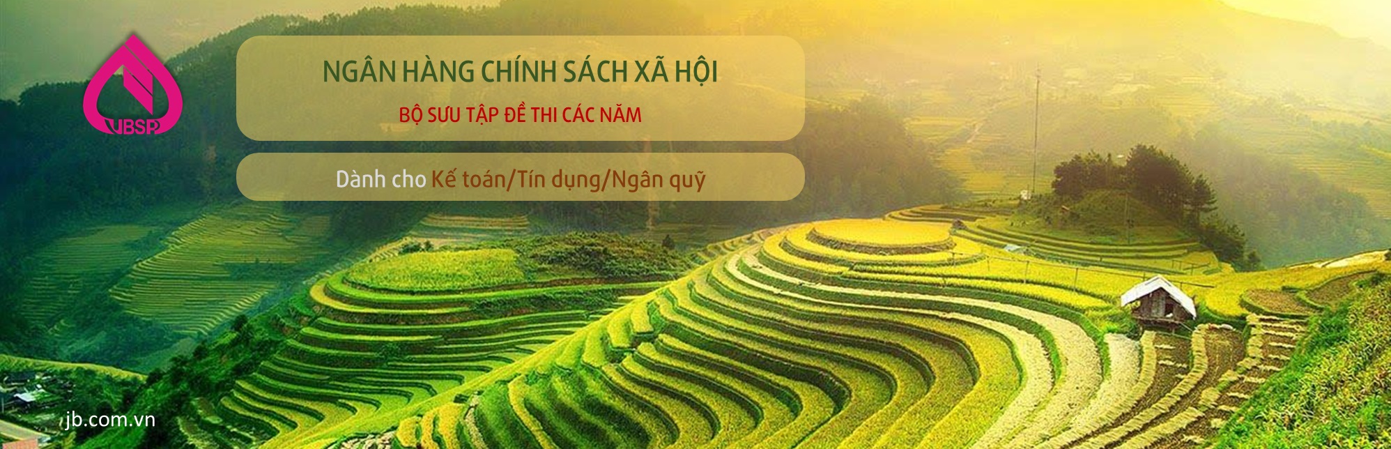 BST ôn thi NHCSXH (VBSP)