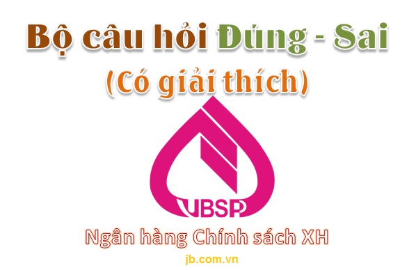 Bộ câu hỏi Đúng-Sai ôn thi VBSP (NH Chính sách xã hội)